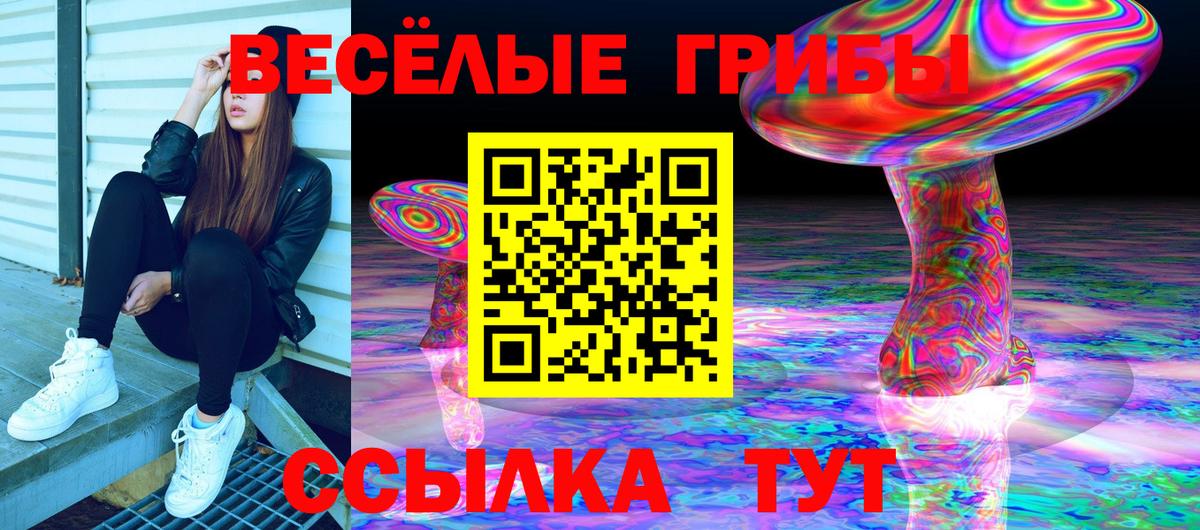 Галлюциногенные грибы MAGIC MUSHROOMS Новоалександровск